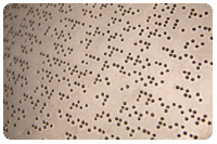 requirements to use perky duck braille software